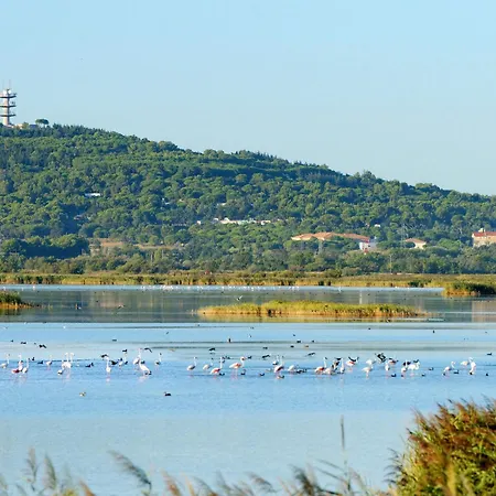 Les Rivages De Rochelongue-2 By Interhome Apartment