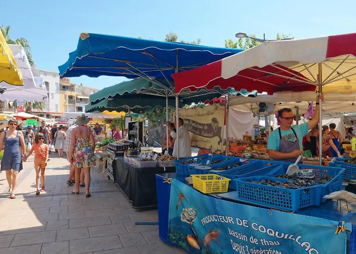 Les Rivages De Rochelongue-2 By Interhome Appartamento Agde